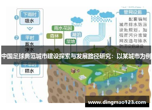 中国足球典范城市建设探索与发展路径研究：以某城市为例