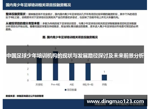 中国足球少年培训机构的现状与发展路径探讨及未来前景分析