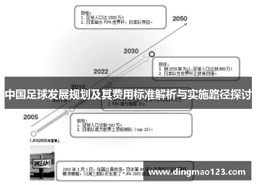 中国足球发展规划及其费用标准解析与实施路径探讨